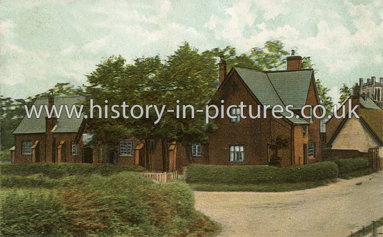 The School, Newport, Essex. c.1909